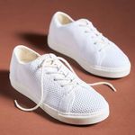 Nisolo NWB  Women's Go-To Eco Knit Sneaker White Size 7 Kickaround Photo 0