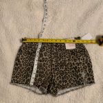 SO Juniors Shorts Photo 7