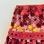 Saylor  Vero Pink Multicolor Floral Embroidered Lace Top and Skirt Set Size Small Photo 8