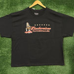 Budweiser Clydesdales This Bud's For You Oversized T-Shirt Size Large Photo 0