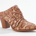 Cato NEW  Snake Crossband Shoe Photo 0