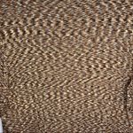 Apt. 9  Short Sleeve Cowl Neck Sweater Size 1X Photo 5