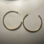 Sheila Fajl  Hoops Photo 0