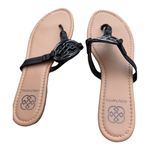 Daisy Fuentes   OMARI FLAT SANDAL WOMENS SZ 9M Flats BLACK MADALLION Photo 2