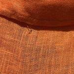 C&C California NWT  Tangerine Orange Linen Button Down Ling Sleeve Shirt S Photo 5