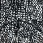 Lululemon Sold  Define Jacket Luxtreme Tectonic Jacquard White Black size 4 NWOT Photo 3