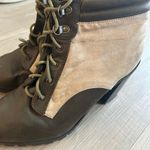 Allure and Grace: Timeless Pointed Photo 8