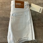 Dr. Denim  shorts Photo 4