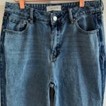 PacSun Two Tone Mom Denim Jeans 28 Photo 3