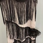 Flapper fringe dress! 1920s silver and black Halloween costume dress! Size M Photo 3
