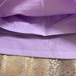 Aerie Lavender Purple Striped Strapless Tube Top, Large Photo 3