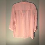 Elle  Light Pink Sheer Tie Neck Business Blouse Small Photo 5