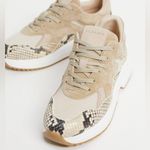 ALLSAINTS  Skye Snake Suede Sneakers 38 NWOB Photo 5