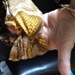 2 Natasha Twisted Animal Print Headbands Reptile & Leopard Photo 2