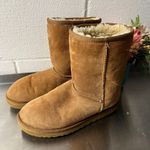 UGG Classic Chestnut Boots Photo 0