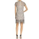 Elie Tahari  Beaded Fringe Dress Women's Size 10 Short Sleeve Sheer Overlay Photo 1
