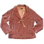 Anthropologie ✨ Fei Crushed Dusty Rose Velvet Embroidered Sz 4 Blazer✨ Photo 5
