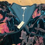 Max Studio  Velvet Burnout Woodland Fairy Babydoll Tiered Flutter Slv Green M Photo 3