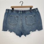 Aerie Daydream Denim Shorts Distressed Stretch Size XXL Photo 1