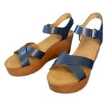 Tommy Hilfiger  Blue Wilo Wedge Platform Heels Size 9.5 Photo 0