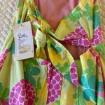 Lilly Pulitzer Dress Photo 2