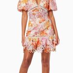 Elliatt NWT  francisca set in multi. Size Large Photo 9