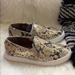 Steve Madden • safary python snakeskin metallic sneakers Photo 57