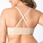 CURVY COUTURE SENSATION BLACK STRAPLESS BRA Photo 5