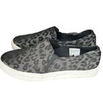 Magellan outdoors  Animal‎ Print Shoes Photo 4