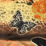 Ocean Blue brand Leopard Print Butterfly T Photo 6