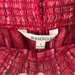 Briggs New York Striped Red Women's Shorts Photo 5