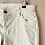 Garnet Hill  | Cream Velour Skinny Pants Sz 4 Photo 1