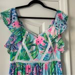 Lilly Pulitzer  Ivie Maxi Dress Multi Kitten Around Photo 1