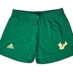 Adidas South Florida Bulls  shorts size L Photo 0