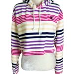 Champion  Urban Outffitters Reverse Weave Striped Cropped Hoodie Size S Photo 3
