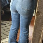 Cello Jeans Cello Bell Bottoms Photo 3