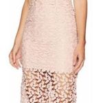 Bardot Gemma Lace Dress Photo 0