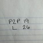 LOFT Top Women XS Pink Embroidered Tie Neck Blouse Cottage Minimal Modest Work Photo 6