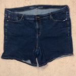 Torrid  perfect 5’’ short size 20 vintage stretch Photo 0