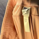 PINK - Victoria's Secret Victoria Secret PINK velour jogger pants  
Women’s large L Photo 3