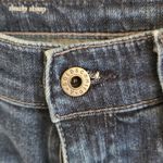 AG Adriano Goldschmied The Beau Slouchy Skinny Destressed Jeans Photo 3