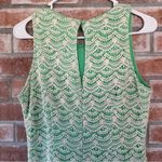 Southern Tide Sawyer Scalloped Lace Sheath Dress Cream Green Size 8 Photo 7