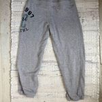 Aeropostale Y2K Women’s Gray Joggers Photo 0