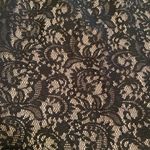 EXPRESS  BLACK LACE INSET HIGH WAISTED FULL MIDI SKIRT sz 6. Pink underlay. Photo 2