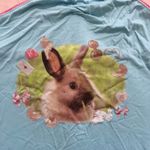 Urban Outfitters  Blue and Pink Bunny Halter Top Photo 3