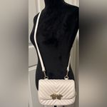 ZARA  Lion Head 2 in 1 Convertible Crossbody/Belt Bag Photo 1