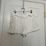 IRO Mikos Broderie Anglaise Cotton Shorts Photo 9