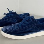 Madewell  x Tretorn Blue Velvet Low Tops Lace up Sneakers Shoes Size 9 Photo 3