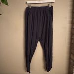 ALBION FIT ALBION Lounge Pants Photo 5