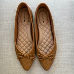 Birdies Goldfinch Pointed Toe Ballet Flat in Tan Photo 2